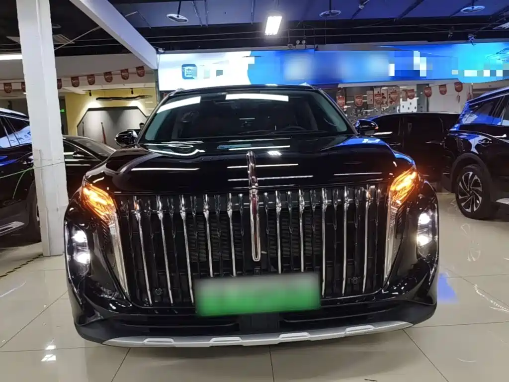 Hongqi Hongqi HS7 PHEV — миниатюра 3