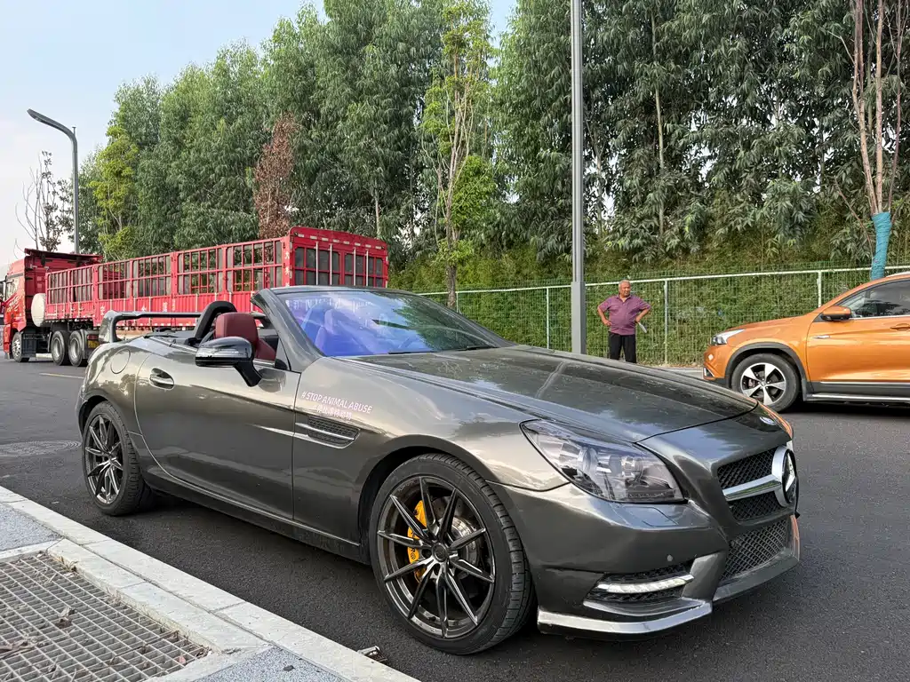 Mercedes-Benz SLK-Class — миниатюра 16