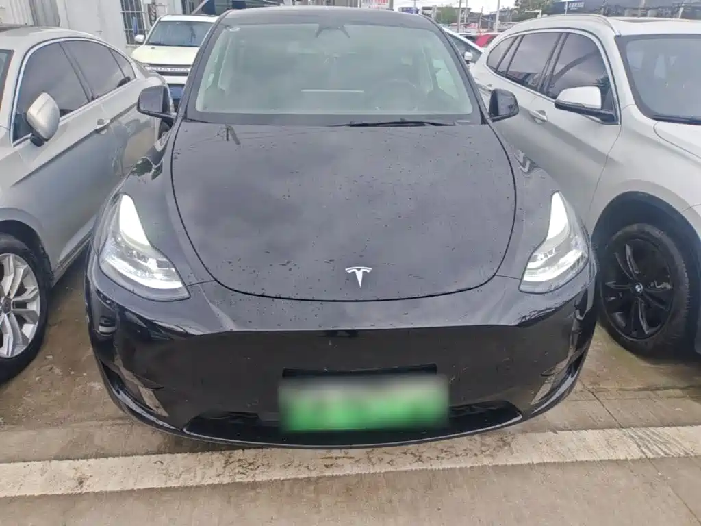 Tesla Model Y — миниатюра 3