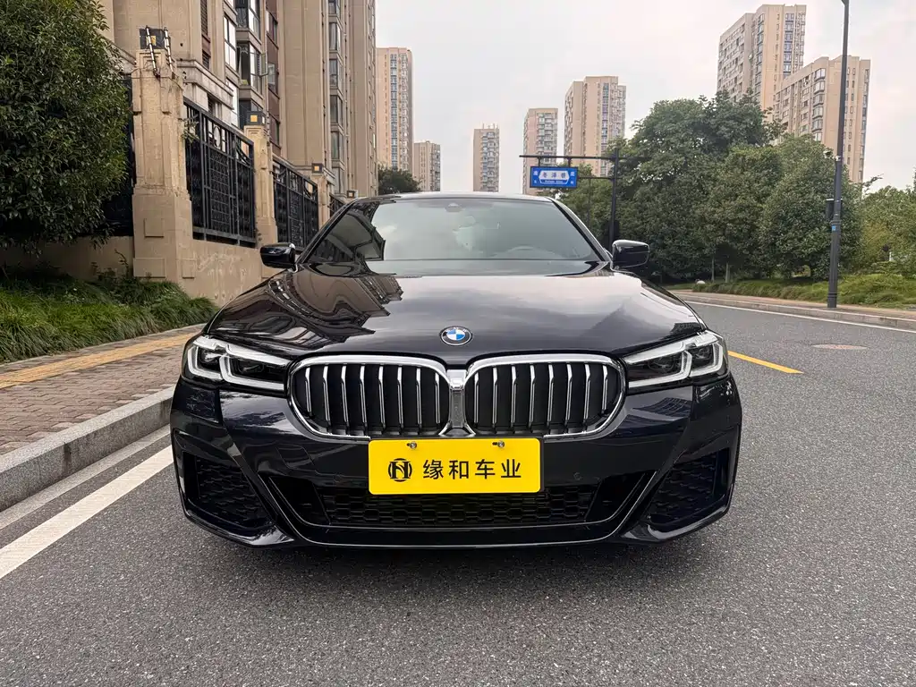 BMW 5 Series — миниатюра 2