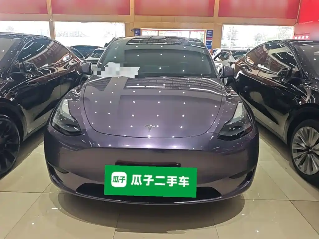 Tesla Model Y — миниатюра 3