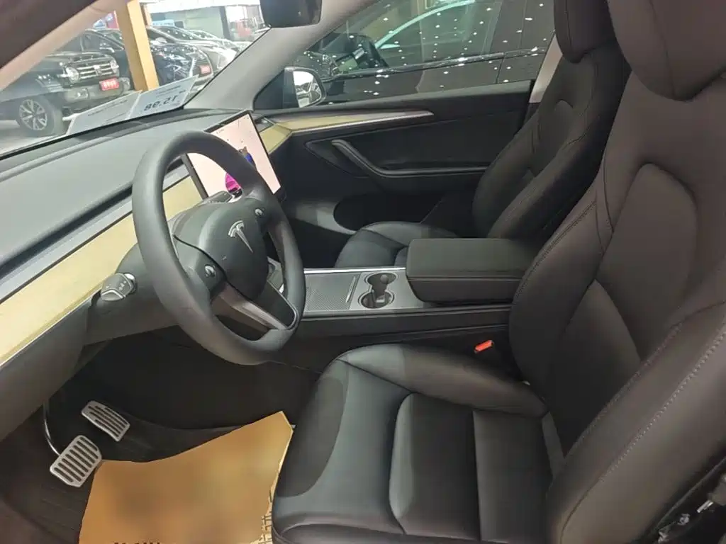 Tesla Model Y — миниатюра 15