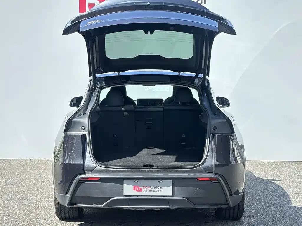 Tesla Model Y — миниатюра 9