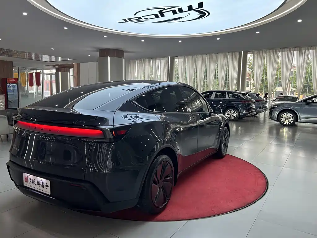 Tesla Model Y — миниатюра 5