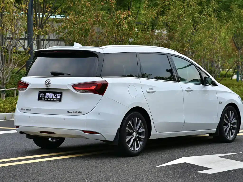 Buick GL6 — миниатюра 14