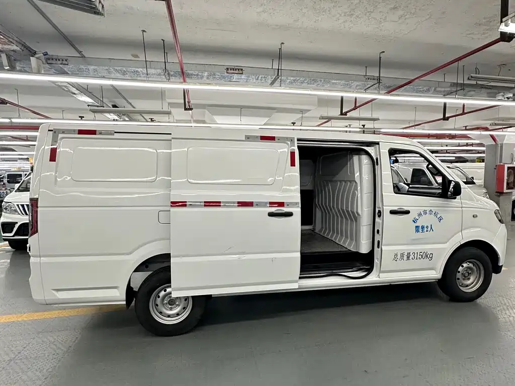 JIANGQI GROUP BLUE CAT