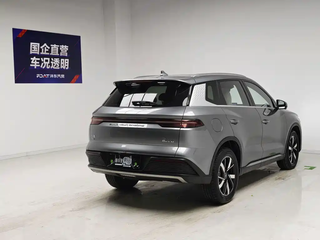 BYD Pro New Energy — миниатюра 4