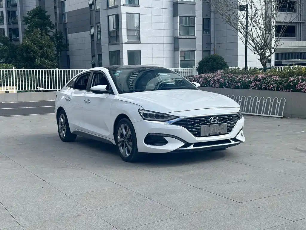 Hyundai Fista — миниатюра 2