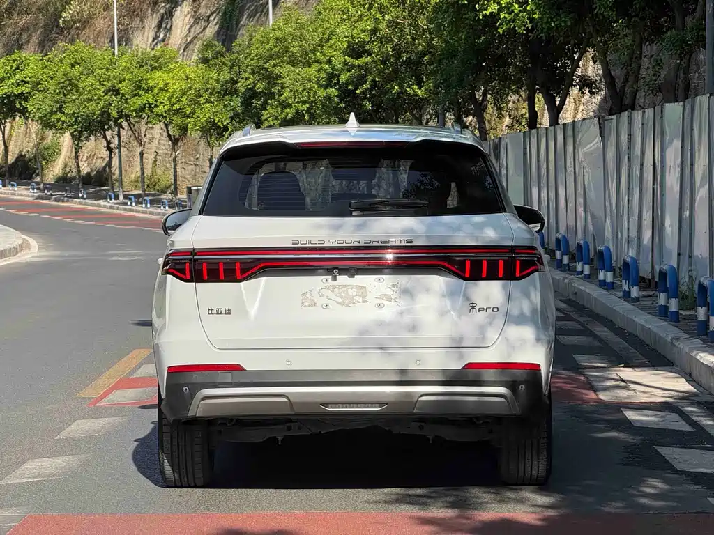 BYD Pro — миниатюра 9
