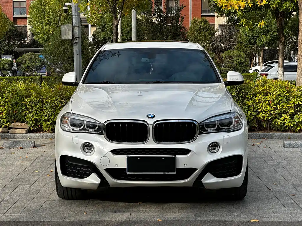 BMW X6 — миниатюра 2