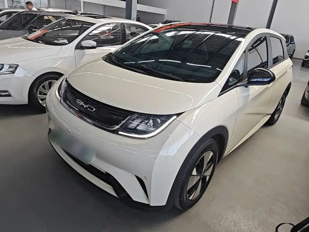 Byd Dolphin 2023
