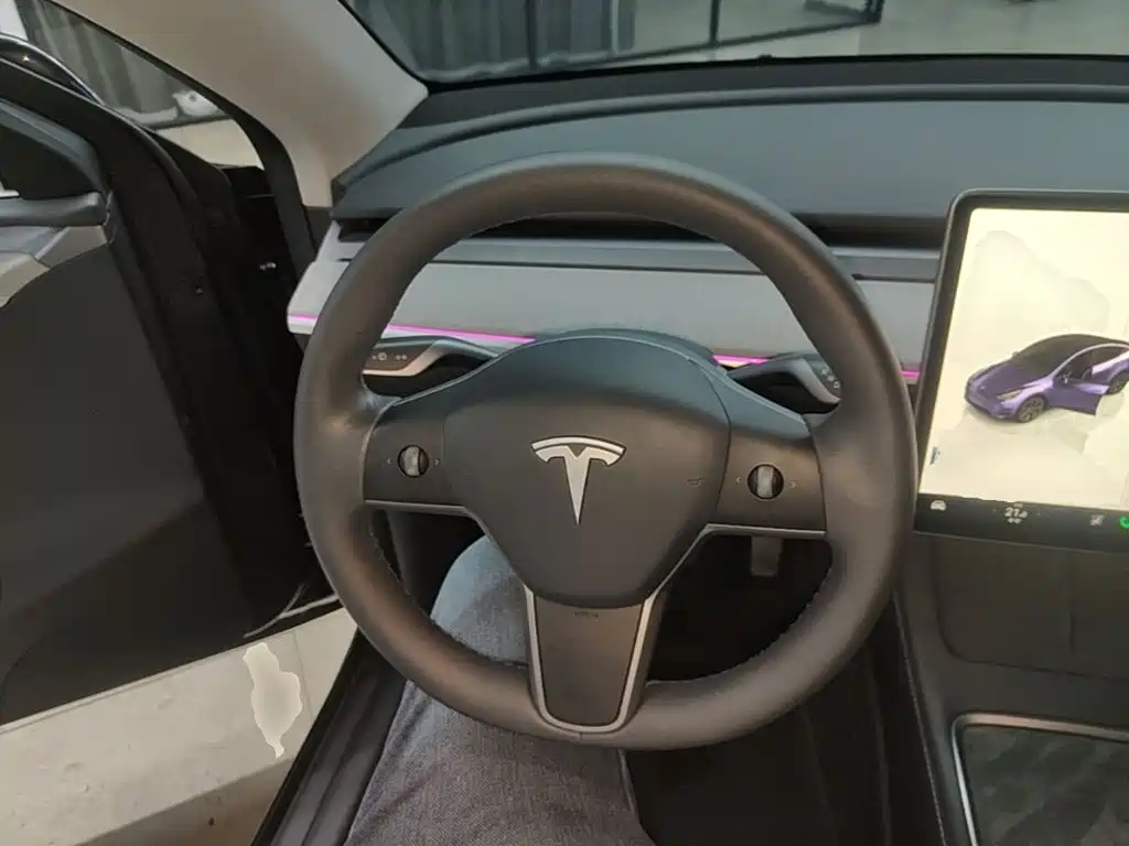 Tesla Model Y — миниатюра 11