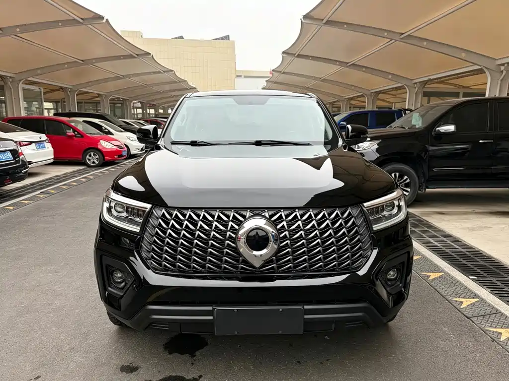 Great Wall Pao — миниатюра 2