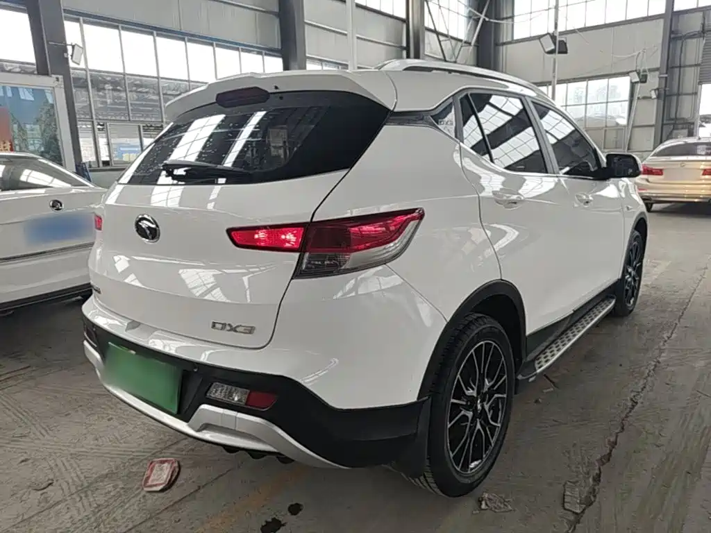 Soueast DX3 — миниатюра 7