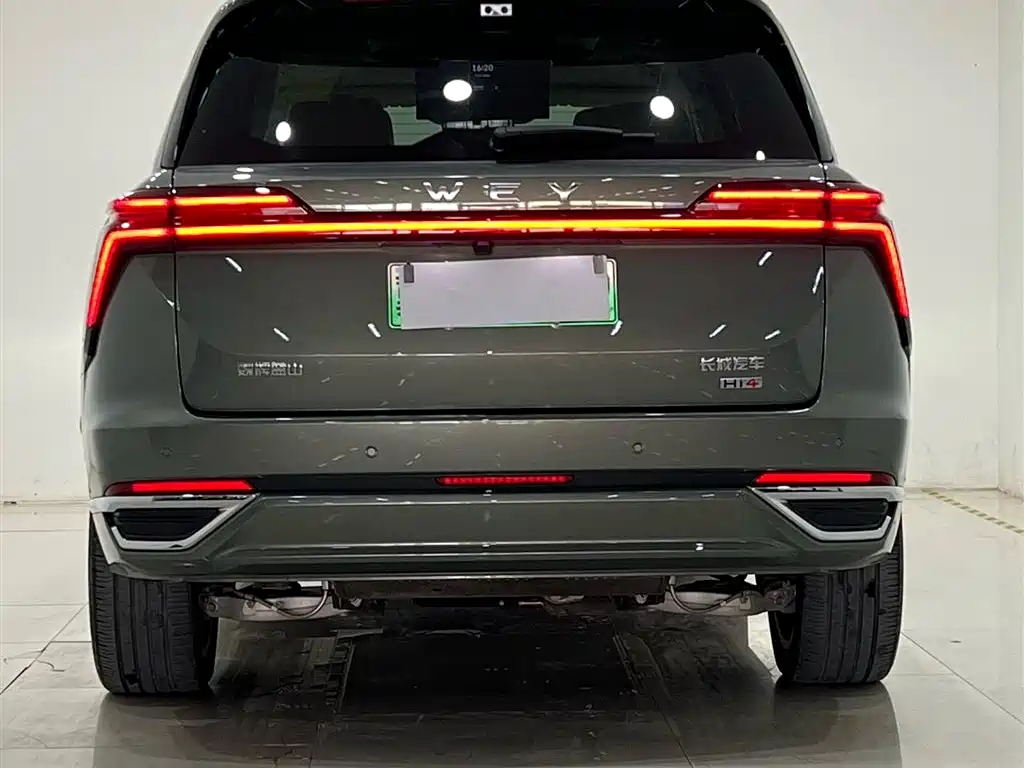 WEI PAI WEI BRAND BLUE MOUNTAIN