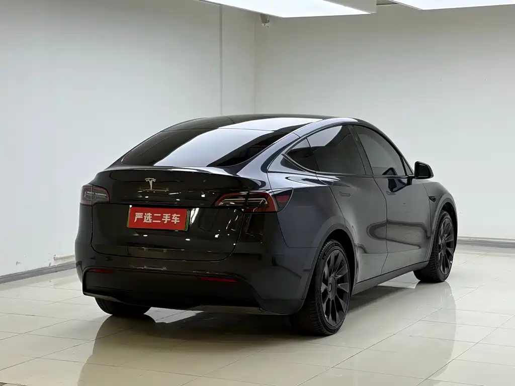 Tesla Model Y — миниатюра 14