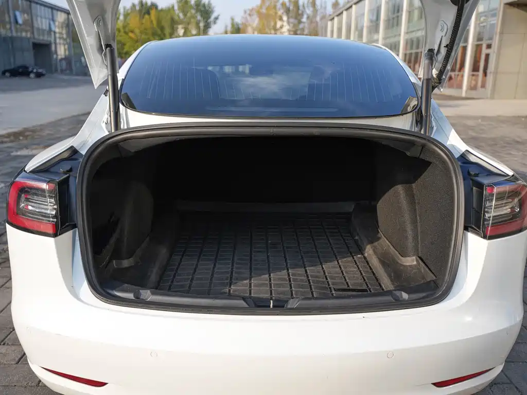 Tesla Model 3 — миниатюра 17
