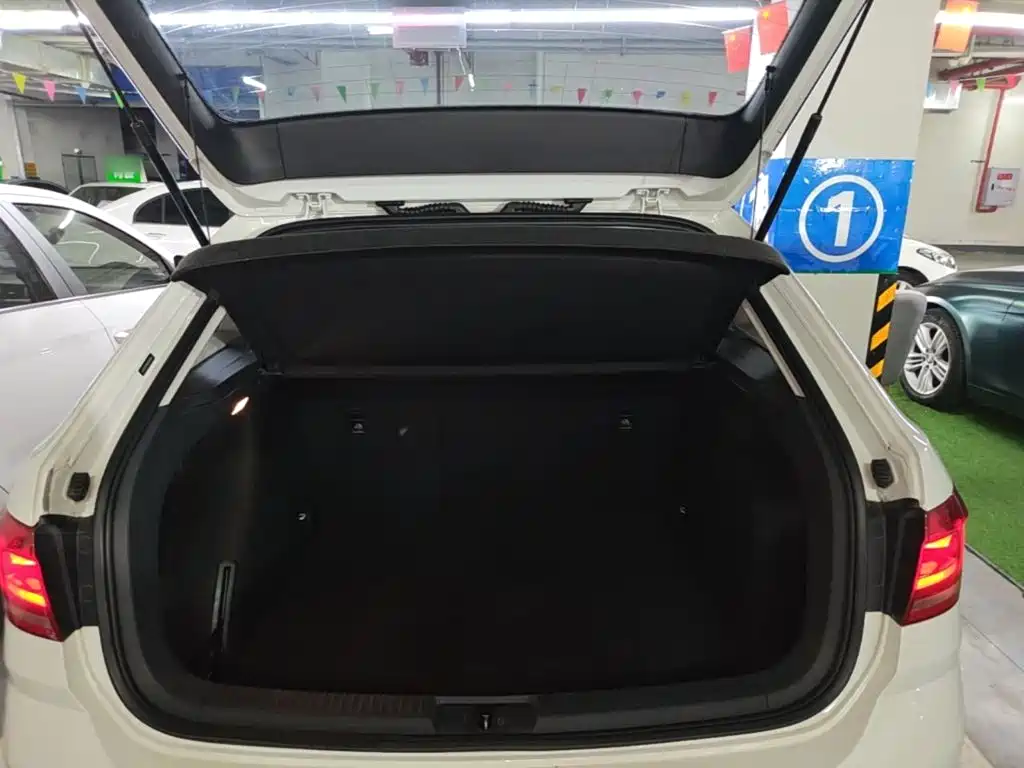 Volkswagen Gran Lavida — миниатюра 19