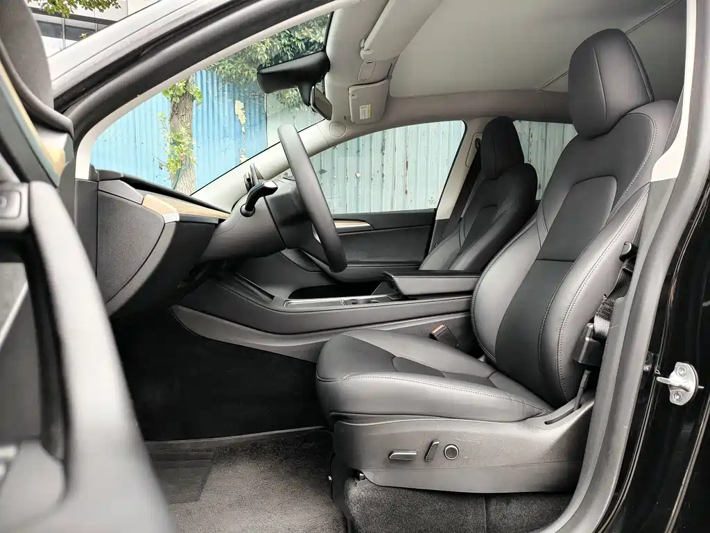 Tesla Model Y — миниатюра 7