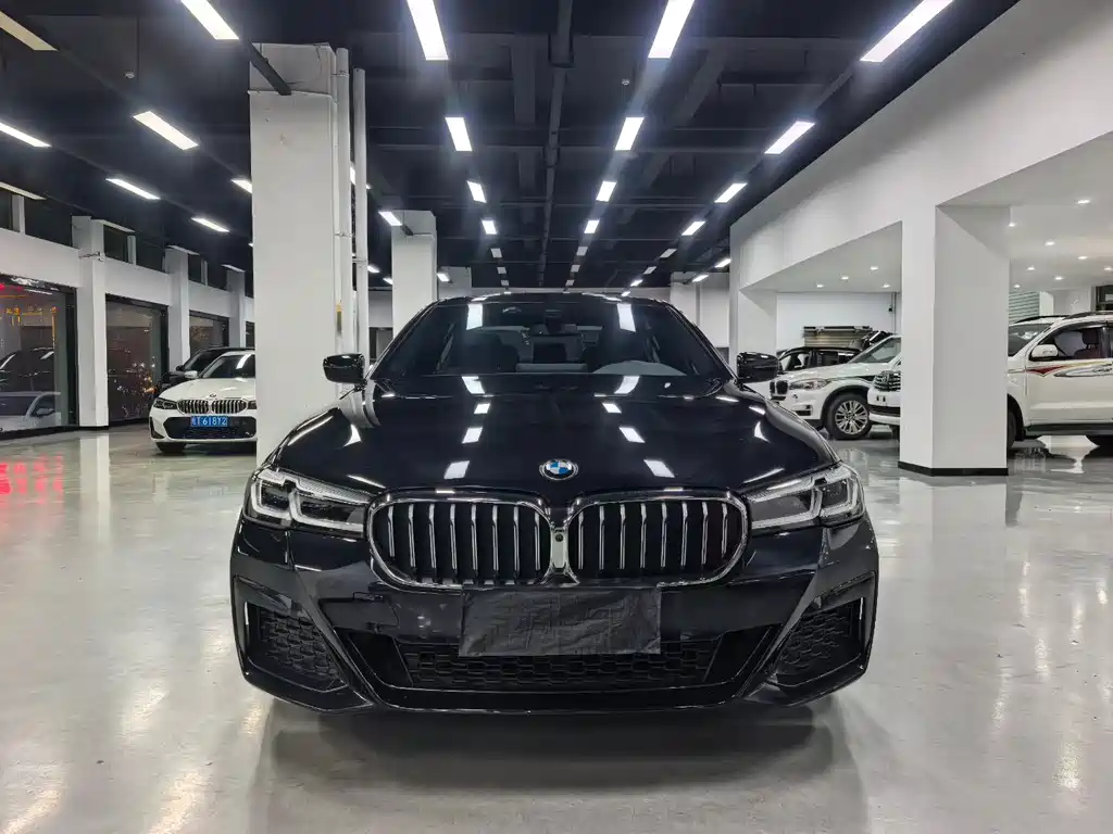 BMW 5 Series — миниатюра 2