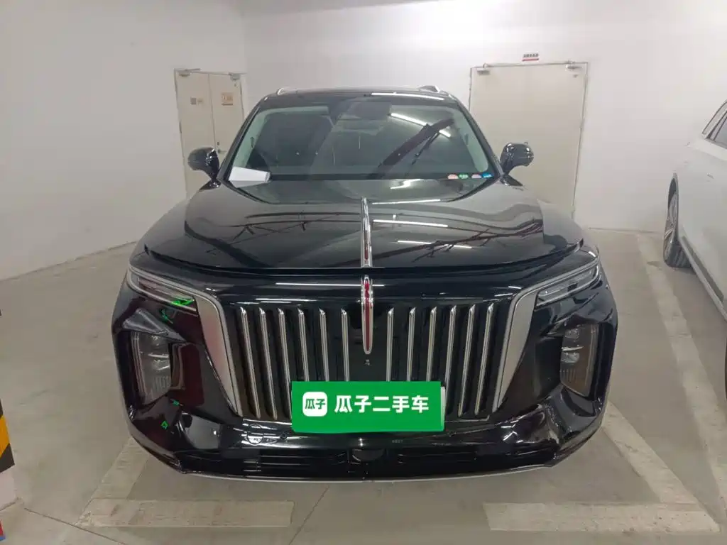 Hongqi Hongqi E-HS9 — миниатюра 3