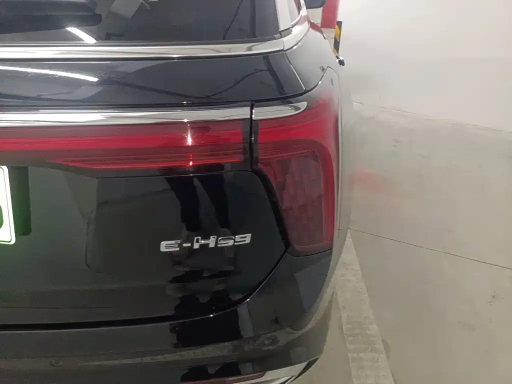 Hongqi Hongqi E-HS9 — миниатюра 15