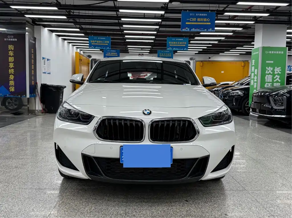 BMW X2 — миниатюра 2
