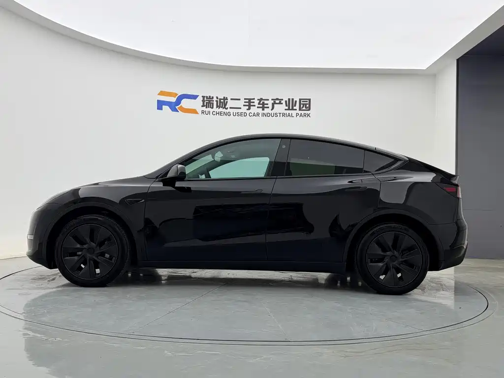 Tesla Model Y — миниатюра 7