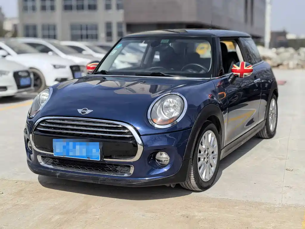 Mini Mini 2016