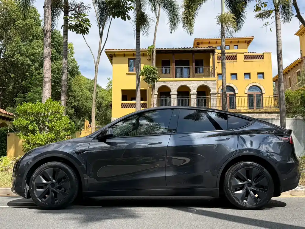 Tesla Model Y — миниатюра 2