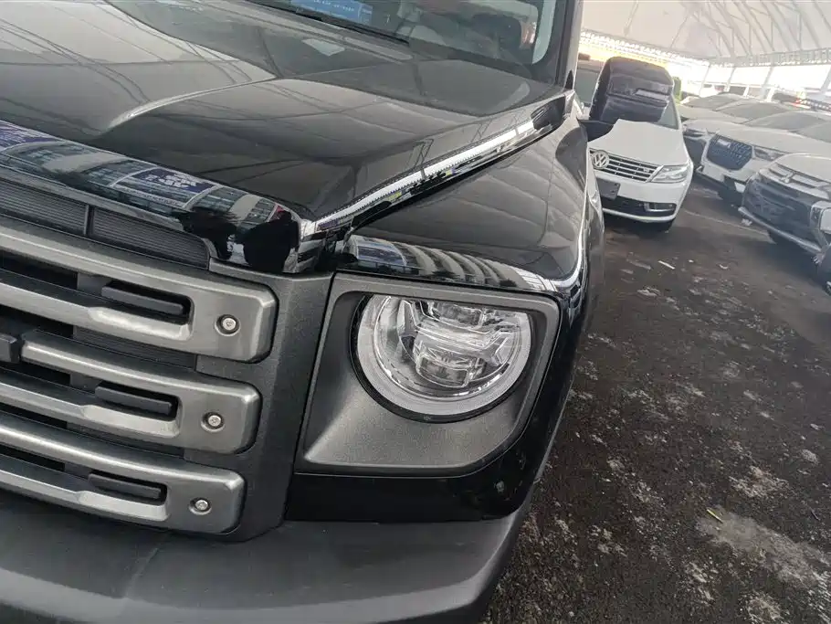 HAVAL RAPTORS NEW ENERGY