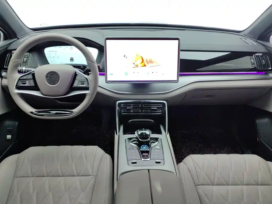 BYD Tang New Energy — миниатюра 12