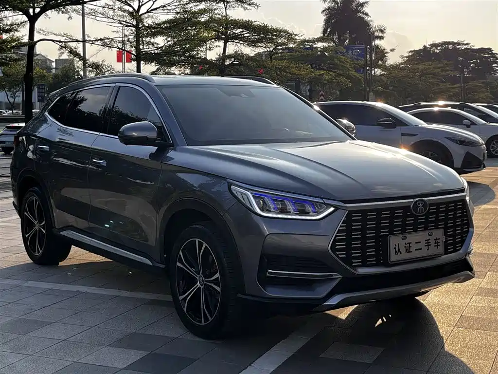 BYD PLUS — миниатюра 4