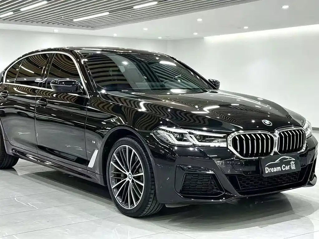 BMW 5 Series — миниатюра 3