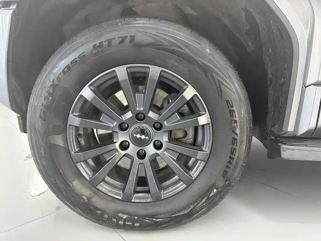 FANG CHENG BAO LEOPARD 5