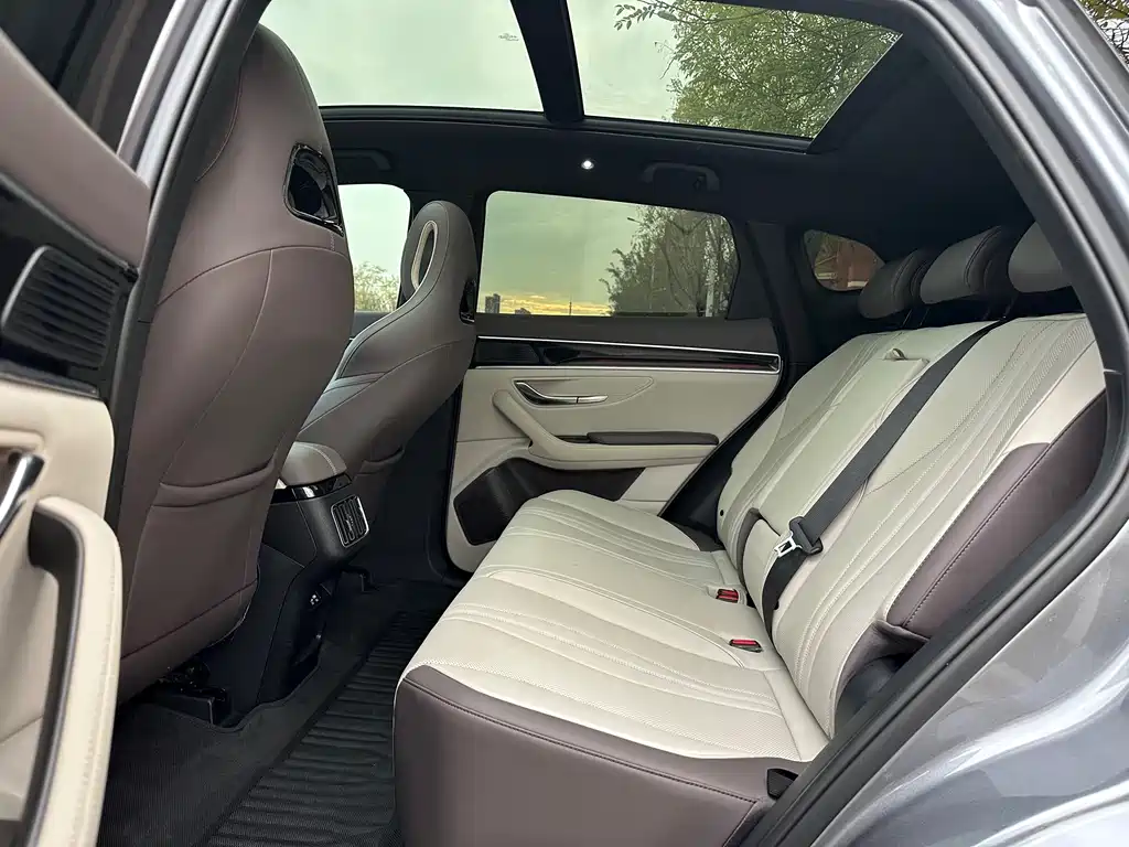 BYD PLUS New Energy — миниатюра 14