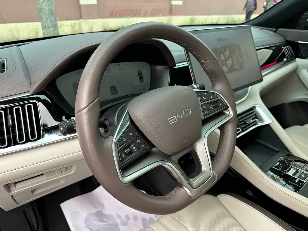 BYD PLUS New Energy — миниатюра 16