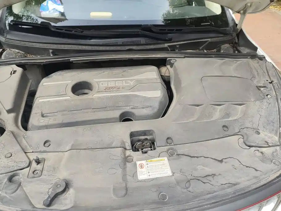 Geely Emgrand GS — миниатюра 10