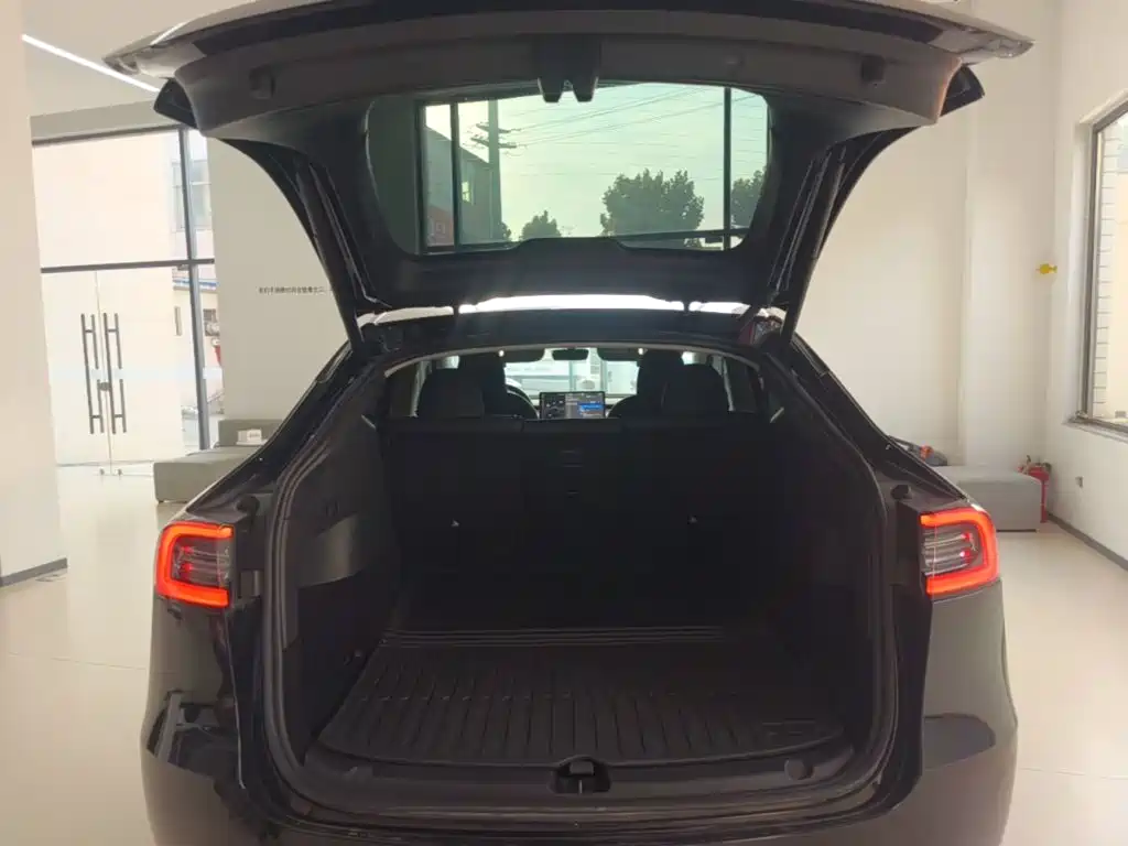 Tesla Model Y — миниатюра 19