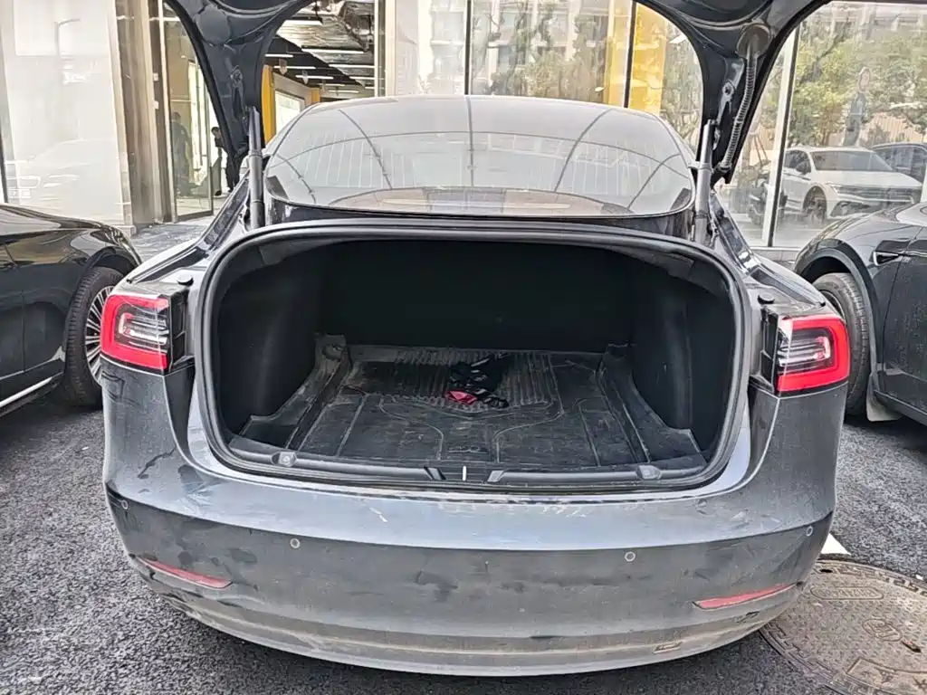 Tesla Model 3 — миниатюра 19