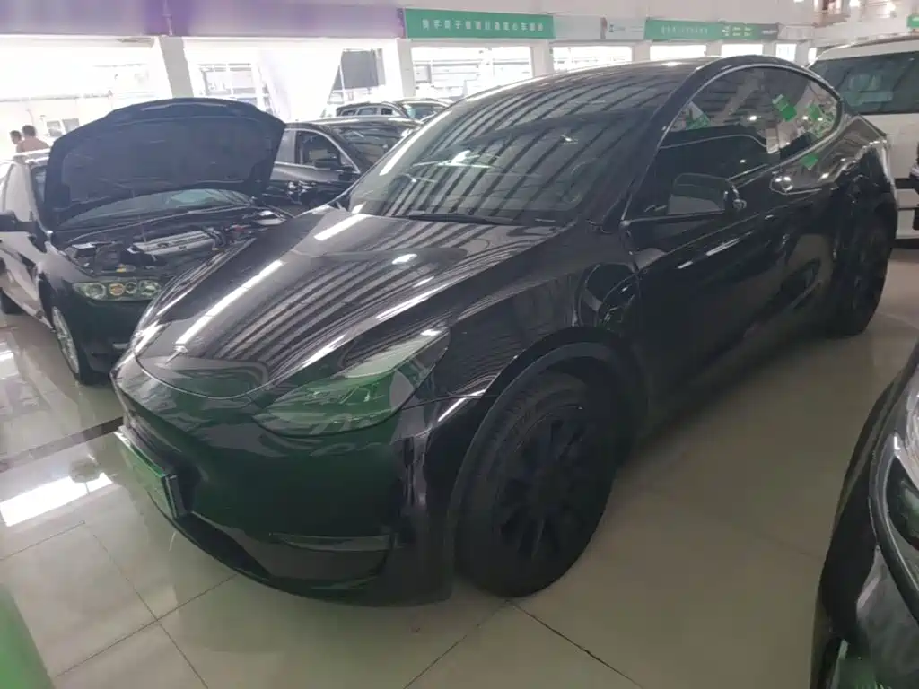 Tesla Model Y — миниатюра 2