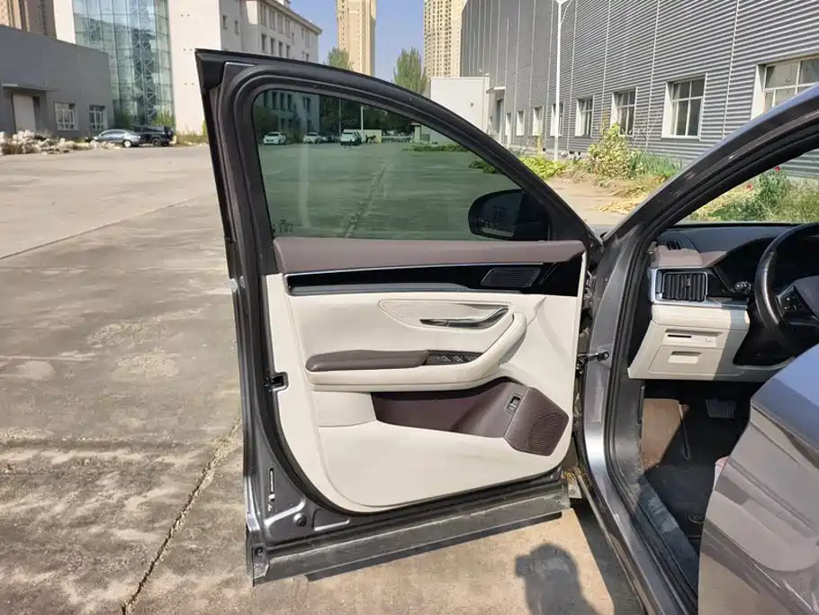 BYD PLUS New Energy — миниатюра 7
