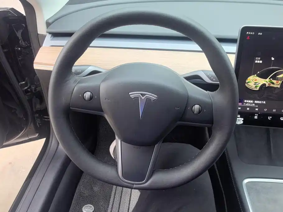 Tesla Model 3 — миниатюра 15