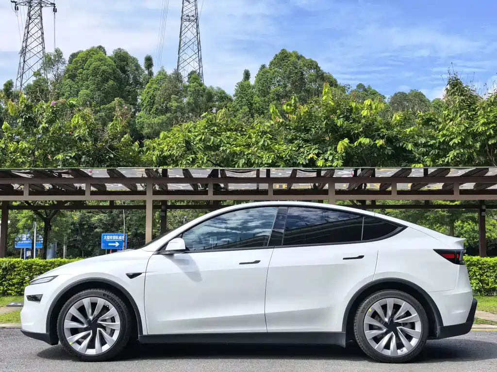 Tesla Model Y — миниатюра 4