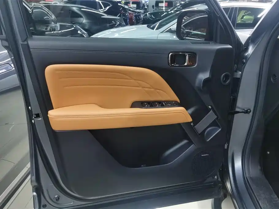 HAVAL RAPTORS NEW ENERGY