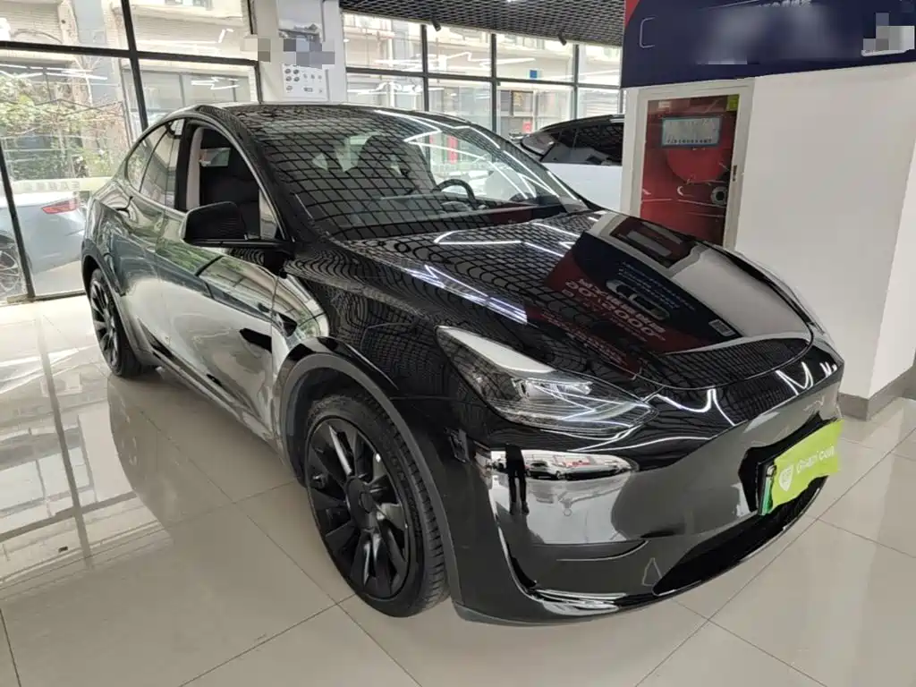 Tesla Model Y — миниатюра 4