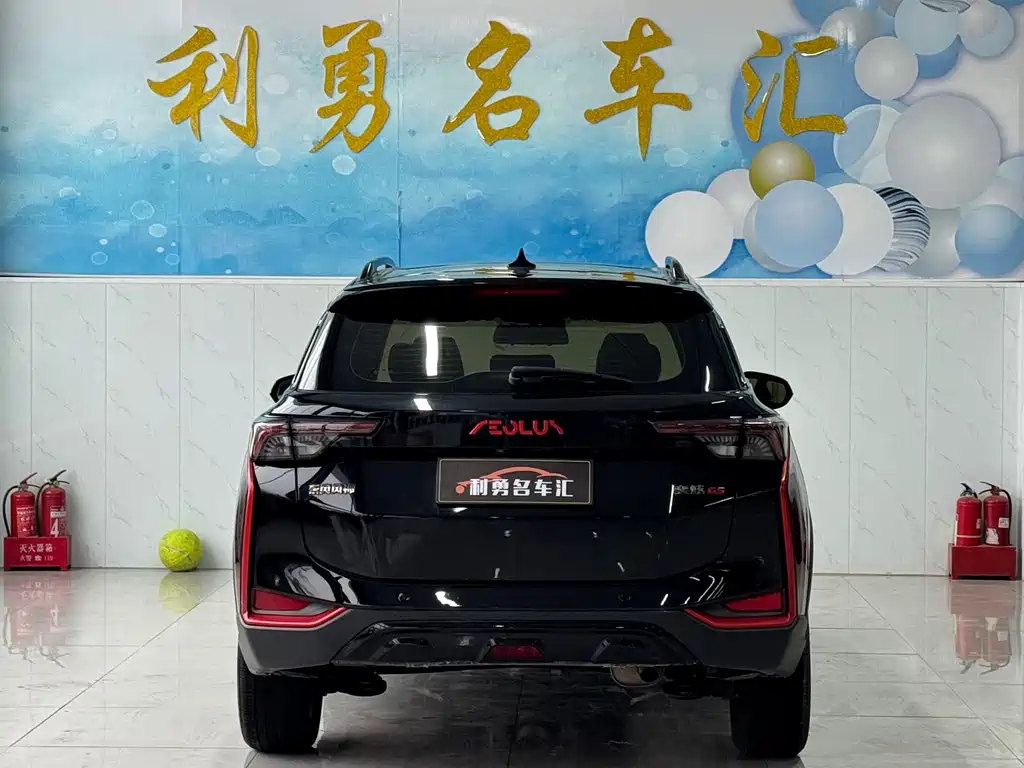 DONGFENG YI HYUN GS
