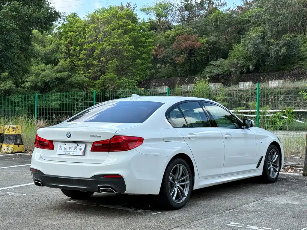 BMW 5 Series (Import) — миниатюра 11