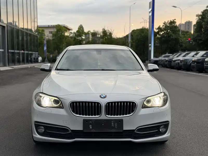 BMW 5 Series 5 2017 525Li Luxury