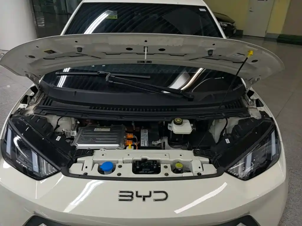 BYD Seagull — миниатюра 11